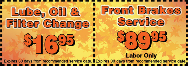 FAL_CP17 Gallery Image 7