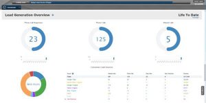 SocialCRM Lead Report