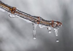 Spring Maintenance Tips to Keep Your Trucks Rolling